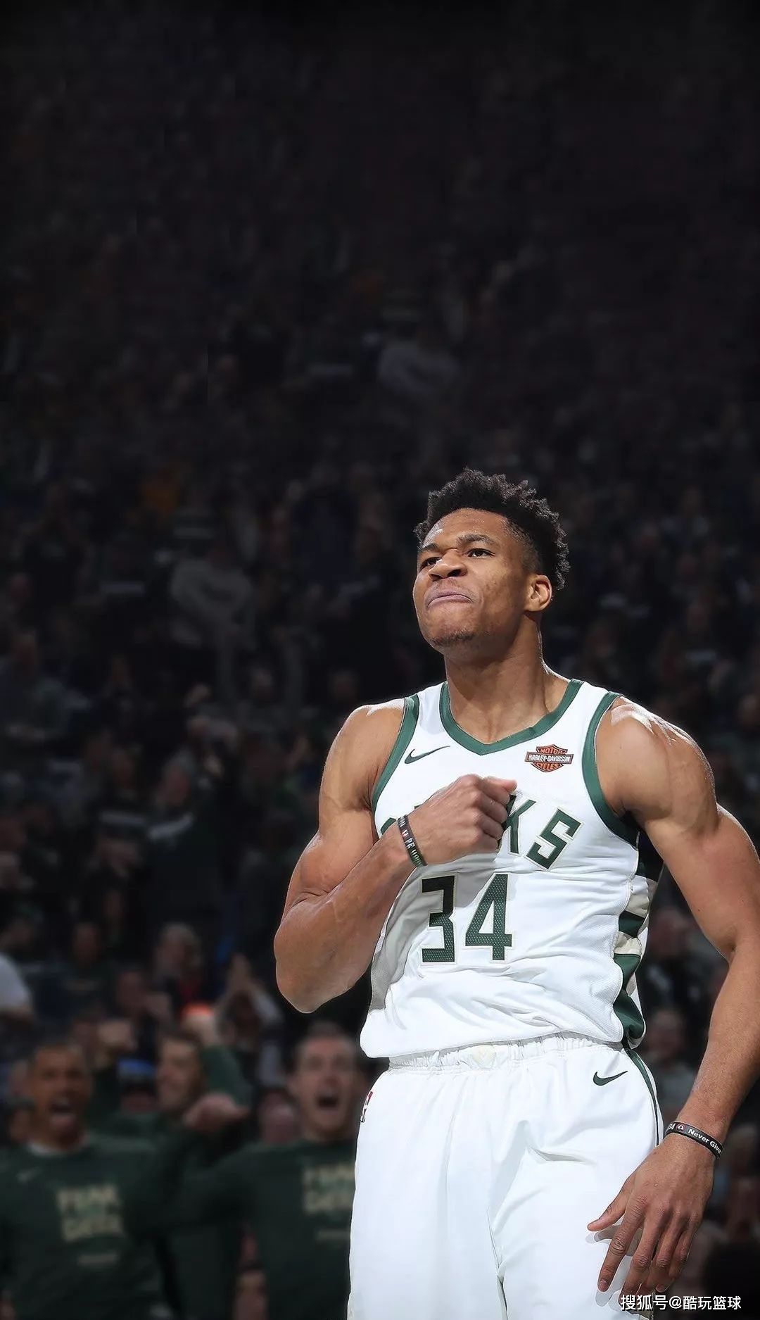 这支队伍已 这支队伍已