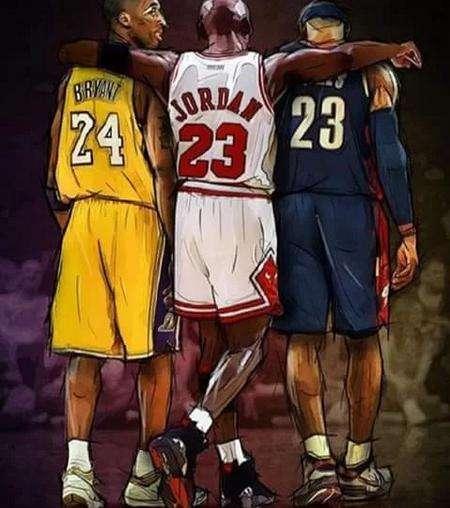 的二次组织 的二次组织